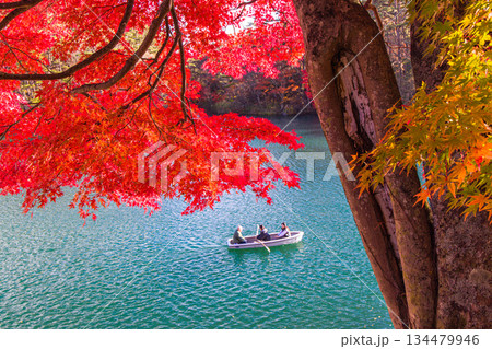 【福島県_裏磐梯】五色沼(毘沙門沼)の紅葉、10月 11月 【福島県_裏磐梯】五色沼(毘沙門沼)の紅葉、10月 11月 134479946