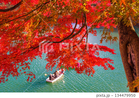 【福島県_裏磐梯】五色沼（毘沙門沼）の紅葉、10月 11月 134479950