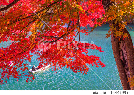 【福島県_裏磐梯】五色沼(毘沙門沼)の紅葉、10月 11月 【福島県_裏磐梯】五色沼(毘沙門沼)の紅葉、10月 11月 134479952