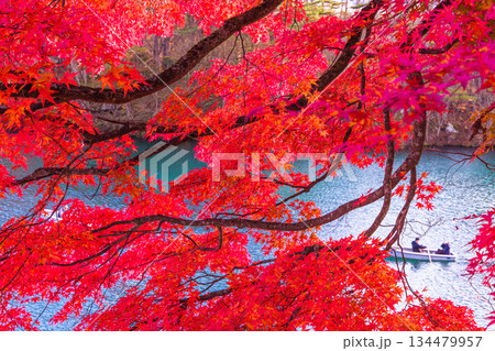 【福島県_裏磐梯】五色沼(毘沙門沼)の紅葉、10月 11月 【福島県_裏磐梯】五色沼(毘沙門沼)の紅葉、10月 11月 134479957