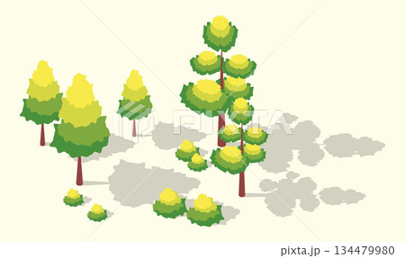 Cartoon Color Summer Park and Fest Concept Different Green Trees and Bushes 3d Isometric View. Vector illustration 134479980