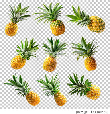 Set of pineapple with bright yellow flesh and green spiky leaves, isolated on white transparent background Set of pineapple with bright yellow flesh and green spiky leaves, isolated on white transparent background 134480449