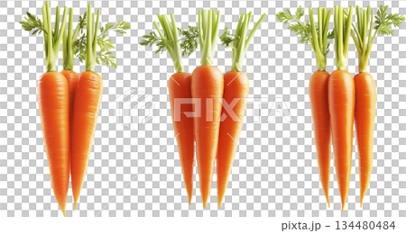Fresh carrots with green tops isolated on a white transparent background. Fresh carrots with green tops isolated on a white transparent background. 134480484