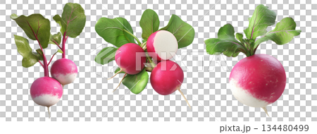 Fresh radish with green leaves, isolated on white transparent background. Fresh radish with green leaves, isolated on white transparent background. 134480499