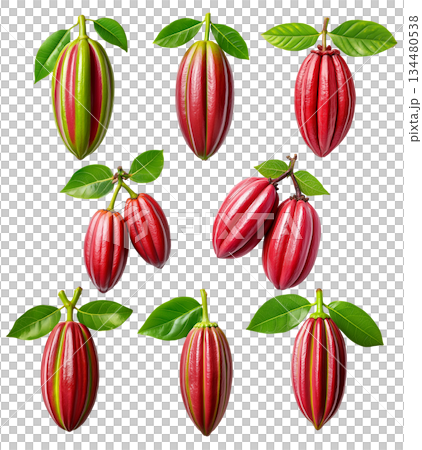 Set of red cocoa pod or Cupuacu with green leaves, isolated on white transparent background Set of red cocoa pod or Cupuacu with green leaves, isolated on white transparent background 134480538