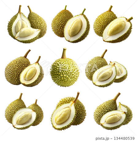 Set of whole durian and one cut, creamy flesh isolated on white transparent background, exotic fruit concept Set of whole durian and one cut, creamy flesh isolated on white transparent background, exotic fruit concept 134480539