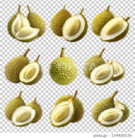 Set of whole durian and one cut, creamy flesh isolated on white transparent background, exotic fruit concept Set of whole durian and one cut, creamy flesh isolated on white transparent background, exotic fruit concept 134480539
