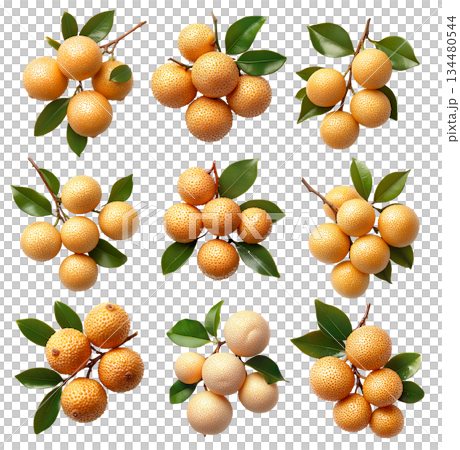 Set of yellow loquat fruits with green leaves on branch, isolated on white background. Concept of organic tropical fruit 134480544