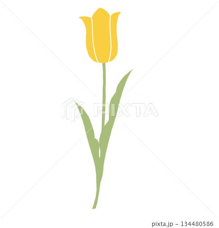 一輪の黄色のチューリップのイラスト　春の花・植物のデザイン素材 134480586