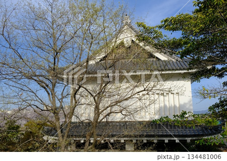 勝竜寺城公園の城郭 勝竜寺城公園の城郭 134481006