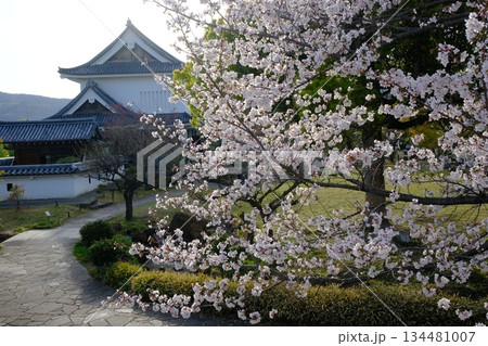 勝竜寺城公園の城郭 勝竜寺城公園の城郭 134481007