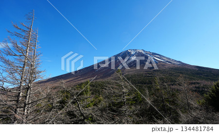 富士山 奥庭からの富士山頂 富士山 奥庭からの富士山頂 134481784