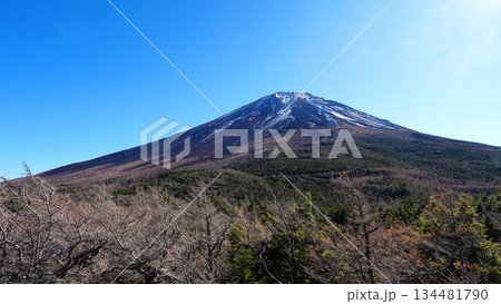 富士山 奥庭からの富士山頂 134481790