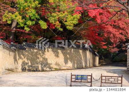 韓国の宮廷の秋の景色 134481894