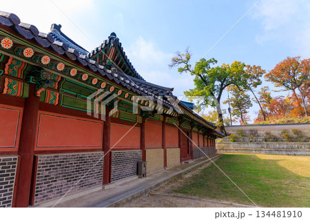 韓国の宮廷の秋の景色 韓国の宮廷の秋の景色 134481910