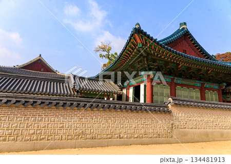 韓国の宮廷の秋の景色 134481913