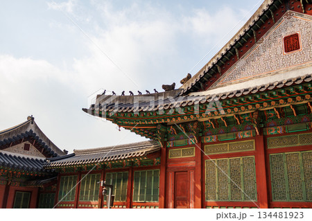 韓国の宮廷の秋の景色 134481923
