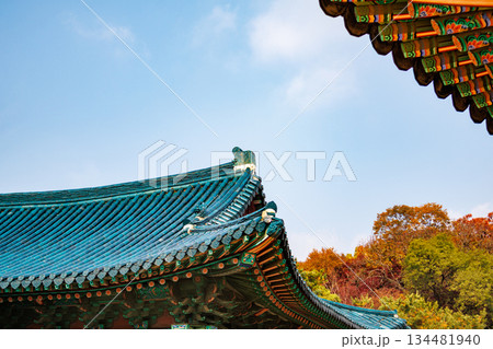 韓国の宮廷の秋の景色 韓国の宮廷の秋の景色 134481940
