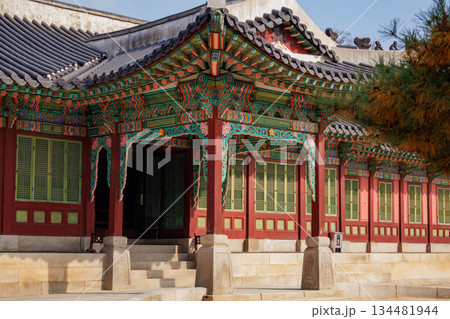 韓国の宮廷の秋の景色 韓国の宮廷の秋の景色 134481944