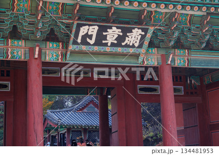 韓国の宮廷の秋の景色 134481953