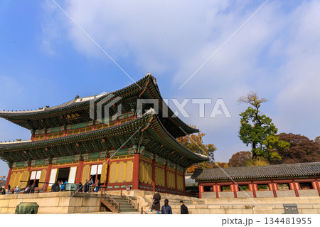 韓国の宮廷の秋の景色 韓国の宮廷の秋の景色 134481955