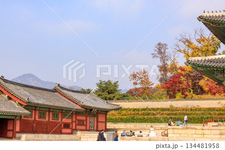 韓国の宮廷の秋の景色 韓国の宮廷の秋の景色 134481958