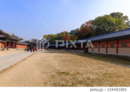 韓国の宮廷の秋の景色 韓国の宮廷の秋の景色 134481965