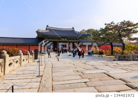 韓国の宮廷の秋の景色 韓国の宮廷の秋の景色 134481972