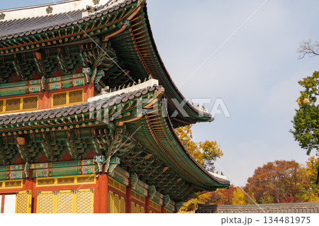 韓国の宮廷の秋の景色 韓国の宮廷の秋の景色 134481975