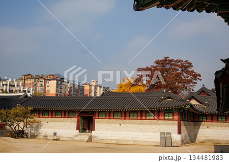 韓国の宮廷の秋の景色 134481983