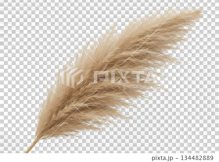 blue feather on transparent background blue feather on transparent background 134482889