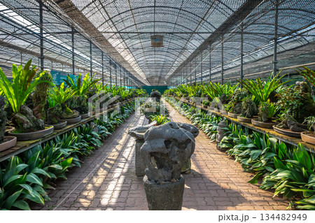 Jeju Island Stone Carving Museum 134482949