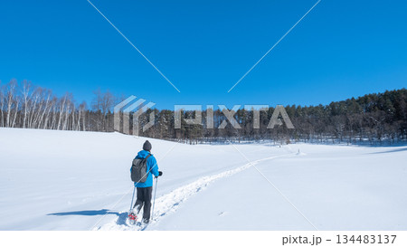 中山高原・スノートレッキング 中山高原・スノートレッキング 134483137