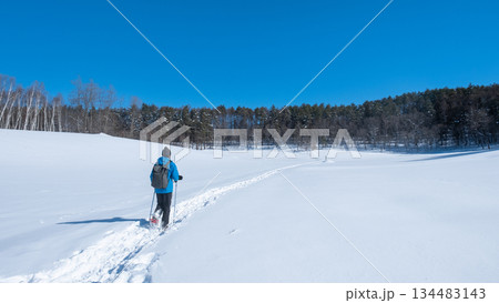 中山高原・スノートレッキング 中山高原・スノートレッキング 134483143