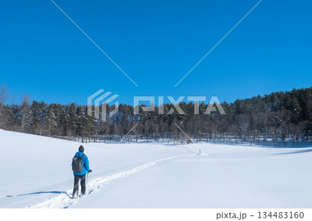 中山高原・スノートレッキング 中山高原・スノートレッキング 134483160