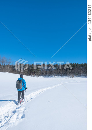 中山高原・スノートレッキング 中山高原・スノートレッキング 134483215