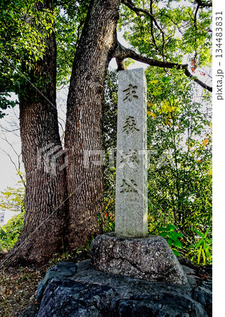 名古屋市城山八幡宮の石碑 名古屋市城山八幡宮の石碑 134483831