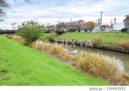 越谷散歩・新方川(にいがたがわ) 越谷市大字大泊 越谷散歩・新方川(にいがたがわ) 越谷市大字大泊 134483912