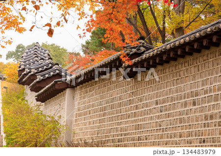 秋の彩りが美しい韓国の宮廷の周辺の風景 134483979