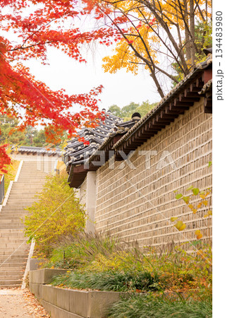秋の彩りが美しい韓国の宮廷の周辺の風景 134483980