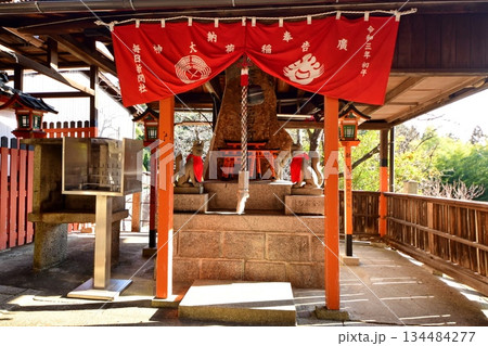 京都府　伏見稲荷大社　廣告稲荷大神　京都市伏見区深草藪之内町　2022 年 2月 134484277