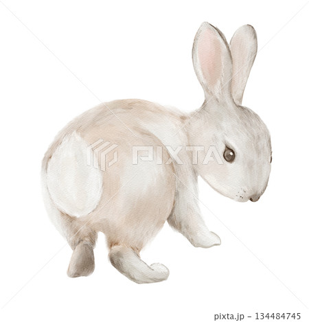 Cute Easter bunny rabbit in watercolor style. Isolated clipart. Hand drawn illustration. Perfect for holiday designs, greeting cards, invitations, Easter gifts, egg decoration. Pastel animal art. Cute Easter bunny rabbit in watercolor style. Isolated clipart. Hand drawn illustration. Perfect for holiday designs, greeting cards, invitations, Easter gifts, egg decoration. Pastel animal art. 134484745