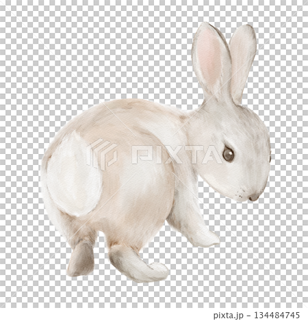 Cute Easter bunny rabbit in watercolor style. Isolated clipart. Hand drawn illustration. Perfect for holiday designs, greeting cards, invitations, Easter gifts, egg decoration. Pastel animal art. Cute Easter bunny rabbit in watercolor style. Isolated clipart. Hand drawn illustration. Perfect for holiday designs, greeting cards, invitations, Easter gifts, egg decoration. Pastel animal art. 134484745