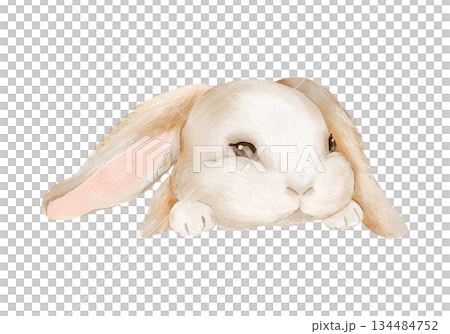Cute Easter bunny rabbit in watercolor style. Isolated clipart. Hand drawn illustration. Perfect for holiday designs, greeting cards, invitations, Easter gifts, egg decoration. Pastel animal art. Cute Easter bunny rabbit in watercolor style. Isolated clipart. Hand drawn illustration. Perfect for holiday designs, greeting cards, invitations, Easter gifts, egg decoration. Pastel animal art. 134484752