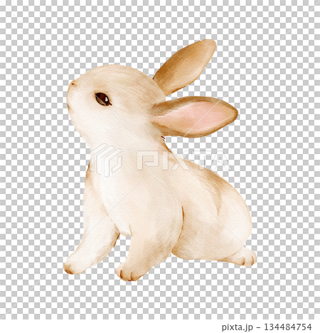 Cute Easter bunny rabbit in watercolor style. Isolated clipart. Hand drawn illustration. Perfect for holiday designs, greeting cards, invitations, Easter gifts, egg decoration. Pastel animal art. 134484754