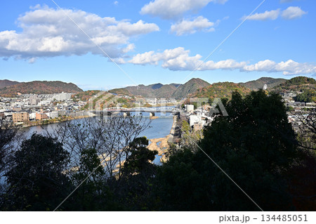 犬山城天守から望む木曽川と犬山橋(愛知県犬山市) 犬山城天守から望む木曽川と犬山橋(愛知県犬山市) 134485051