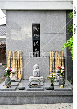 越谷散歩・浄土宗 安国寺 越谷市大泊 越谷散歩・浄土宗 安国寺 越谷市大泊 134485052