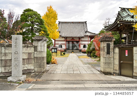 越谷散歩・浄土宗 安国寺 越谷市大泊 越谷散歩・浄土宗 安国寺 越谷市大泊 134485057