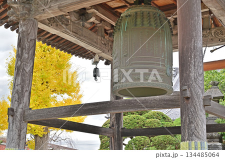 越谷散歩・浄土宗 安国寺 越谷市大泊 越谷散歩・浄土宗 安国寺 越谷市大泊 134485064