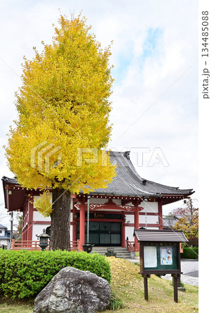 越谷散歩・浄土宗 安国寺　越谷市大泊 134485088